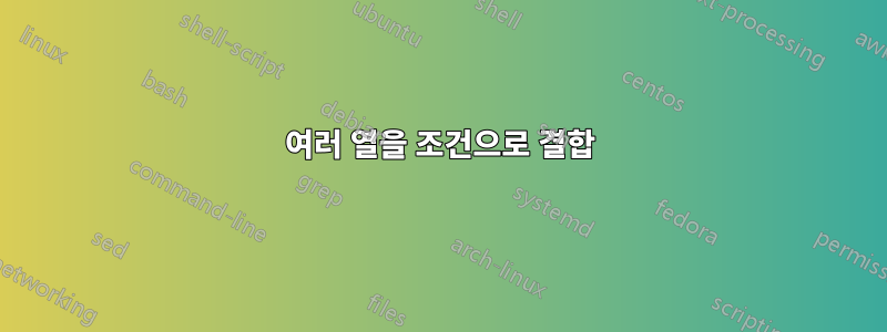 여러 열을 조건으로 결합