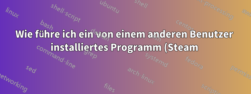 Wie führe ich ein von einem anderen Benutzer installiertes Programm (Steam) aus?