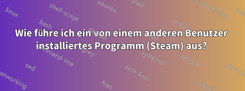 Wie führe ich ein von einem anderen Benutzer installiertes Programm (Steam) aus?