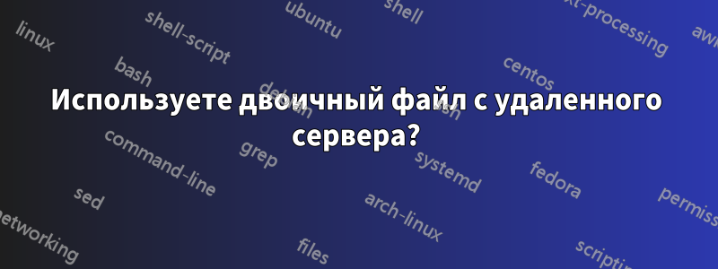 Используете двоичный файл с удаленного сервера?