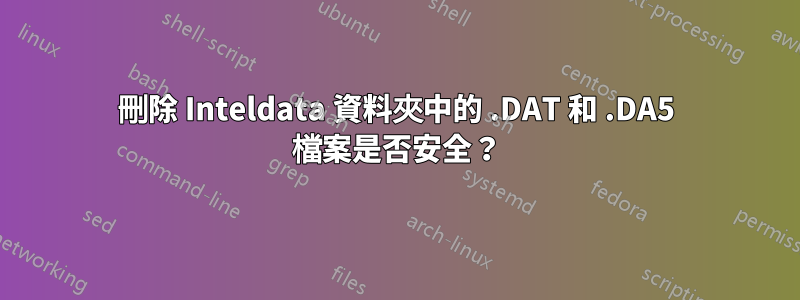 刪除 Inteldata 資料夾中的 .DAT 和 .DA5 檔案是否安全？