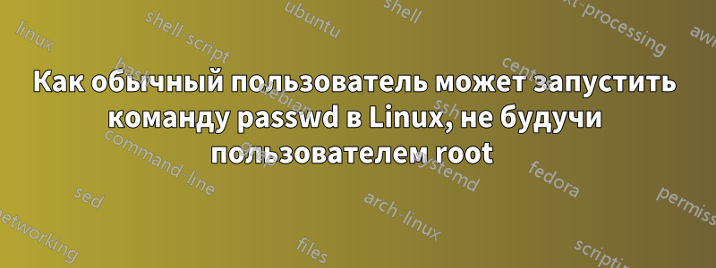 Как обычный пользователь может запустить команду passwd в Linux, не будучи пользователем root 