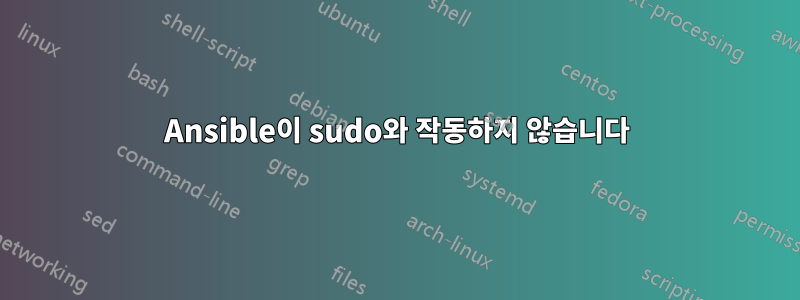 Ansible이 sudo와 작동하지 않습니다