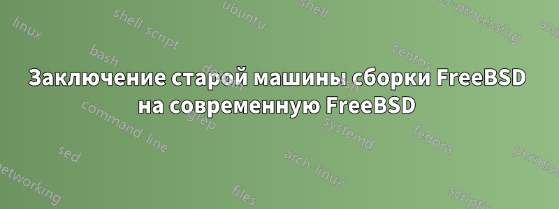 Заключение старой машины сборки FreeBSD на современную FreeBSD