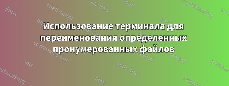 Использование терминала для переименования определенных пронумерованных файлов