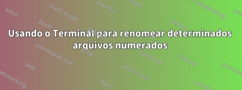 Usando o Terminal para renomear determinados arquivos numerados