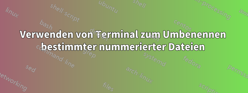 Verwenden von Terminal zum Umbenennen bestimmter nummerierter Dateien