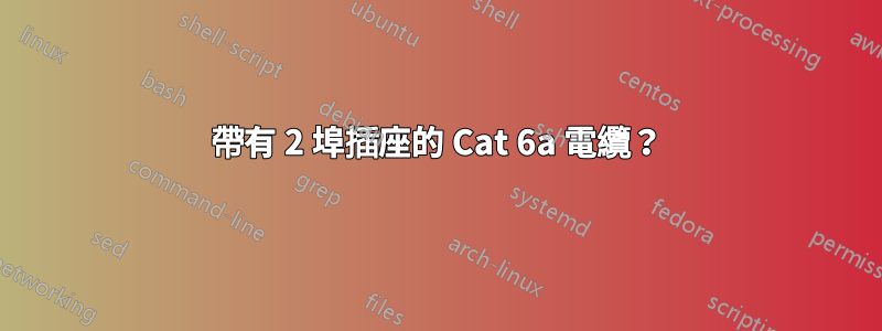 帶有 2 埠插座的 Cat 6a 電纜？