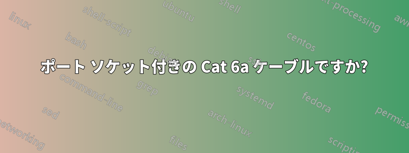 2 ポート ソケット付きの Cat 6a ケーブルですか?