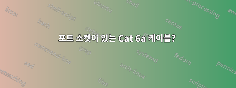 2포트 소켓이 있는 Cat 6a 케이블?