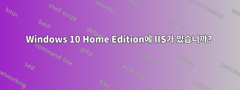 Windows 10 Home Edition에 IIS가 있습니까?