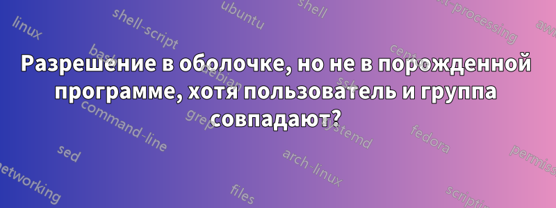 Разрешение в оболочке, но не в порожденной программе, хотя пользователь и группа совпадают?