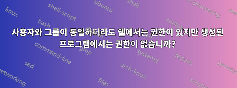 사용자와 그룹이 동일하더라도 쉘에서는 권한이 있지만 생성된 프로그램에서는 권한이 없습니까?