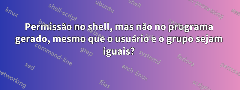 Permissão no shell, mas não no programa gerado, mesmo que o usuário e o grupo sejam iguais?