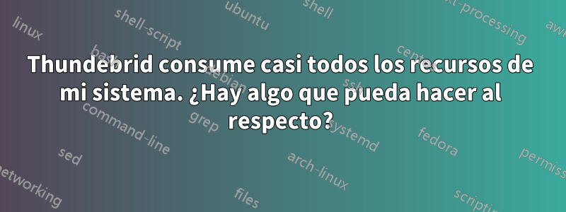 Thundebrid consume casi todos los recursos de mi sistema. ¿Hay algo que pueda hacer al respecto?