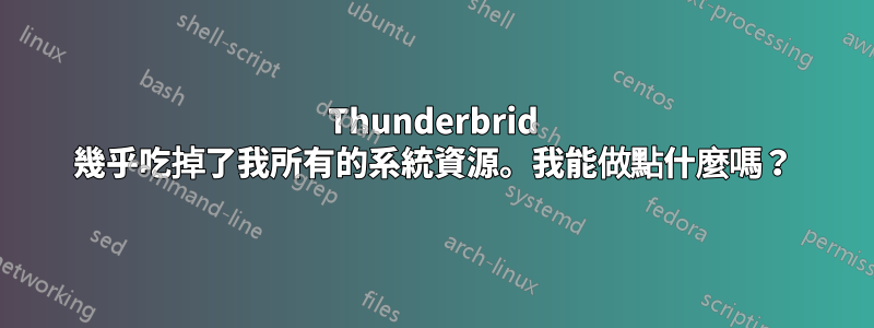 Thunderbrid 幾乎吃掉了我所有的系統資源。我能做點什麼嗎？