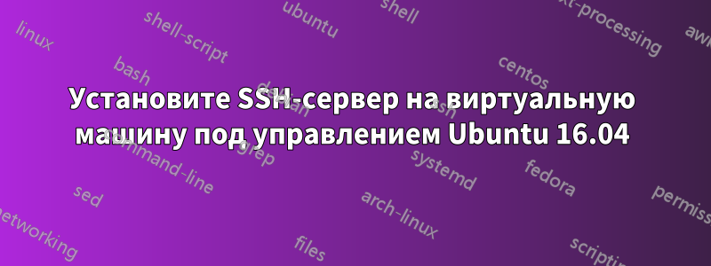 Установите SSH-сервер на виртуальную машину под управлением Ubuntu 16.04