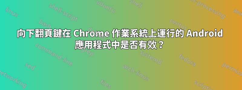 向下翻頁鍵在 Chrome 作業系統上運行的 Android 應用程式中是否有效？