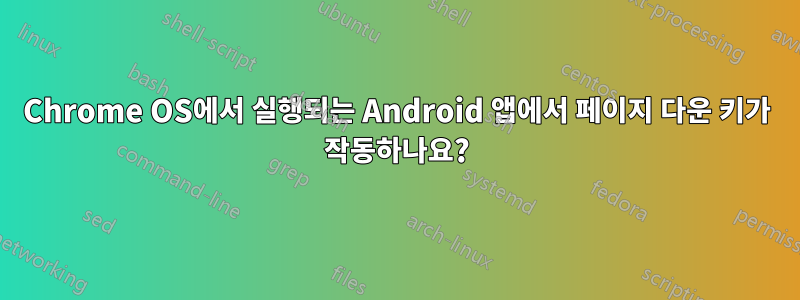 Chrome OS에서 실행되는 Android 앱에서 페이지 다운 키가 작동하나요?