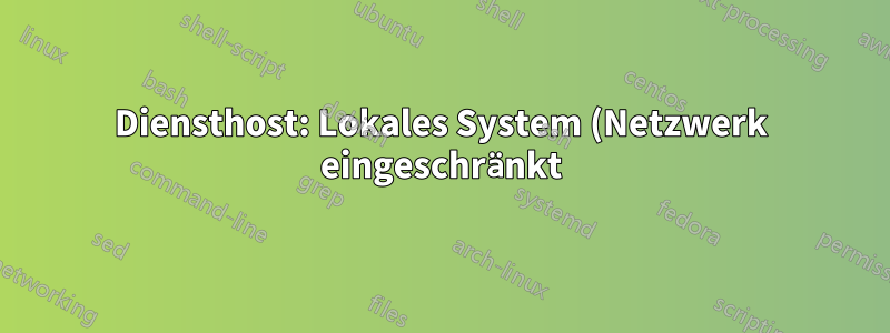 Diensthost: Lokales System (Netzwerk eingeschränkt) HOHE CPU-Auslastung
