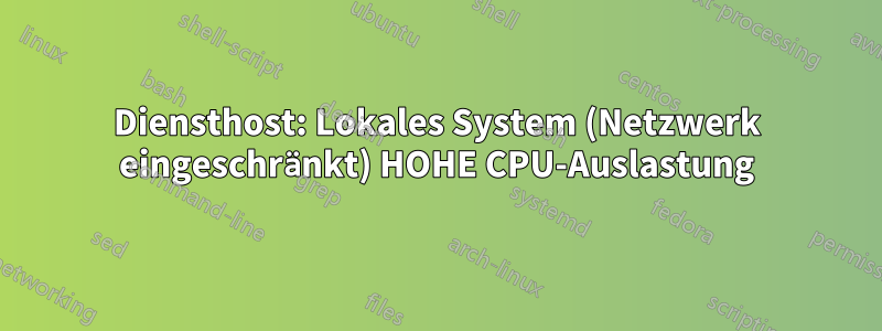 Diensthost: Lokales System (Netzwerk eingeschränkt) HOHE CPU-Auslastung