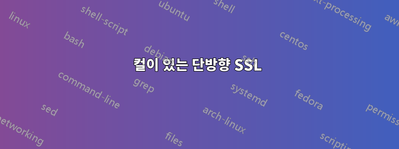 컬이 있는 단방향 SSL