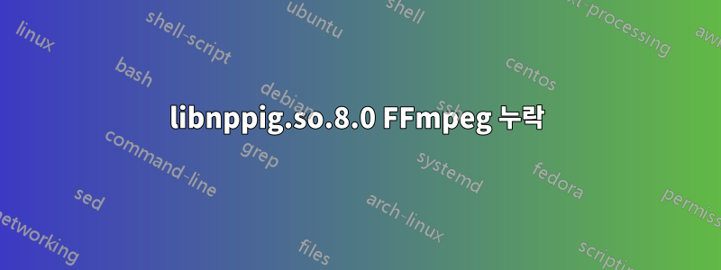 libnppig.so.8.0 FFmpeg 누락