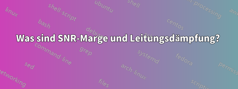 Was sind SNR-Marge und Leitungsdämpfung?