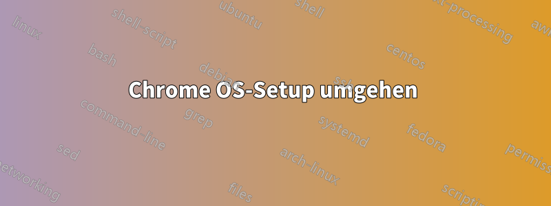 Chrome OS-Setup umgehen