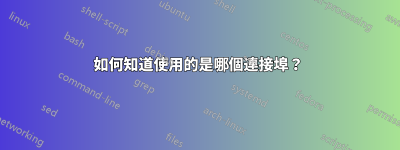 如何知道使用的是哪個連接埠？