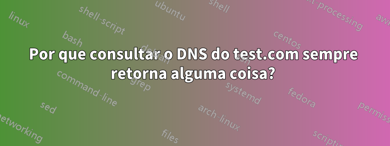 Por que consultar o DNS do test.com sempre retorna alguma coisa?