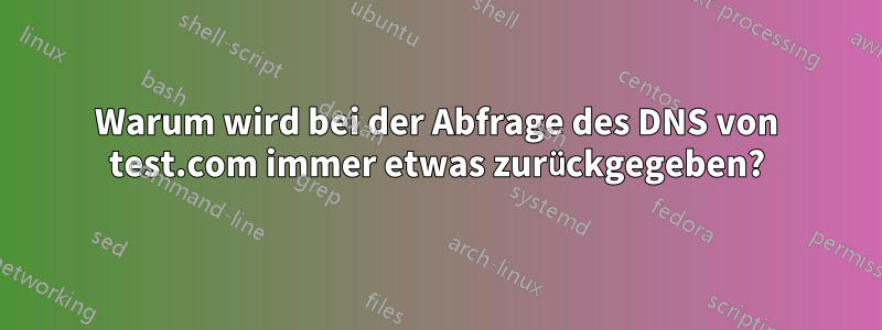 Warum wird bei der Abfrage des DNS von test.com immer etwas zurückgegeben?