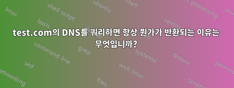 test.com의 DNS를 쿼리하면 항상 뭔가가 반환되는 이유는 무엇입니까?