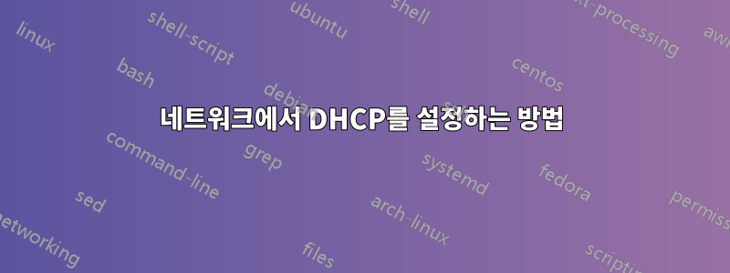 네트워크에서 DHCP를 설정하는 방법