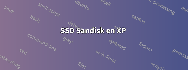 SSD Sandisk en XP