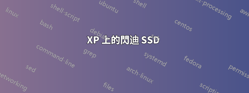 XP 上的閃迪 SSD