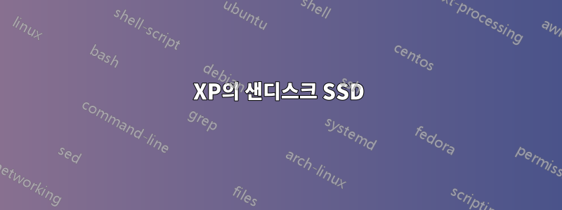 XP의 샌디스크 SSD