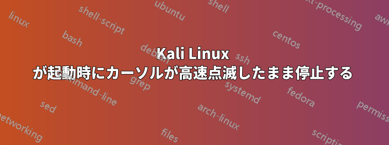 Kali Linux が起動時にカーソルが高速点滅したまま停止する