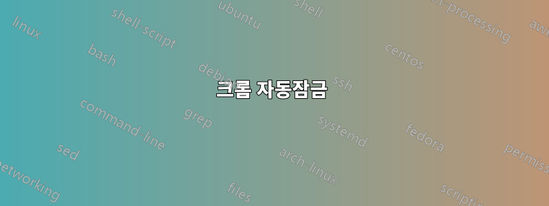 크롬 자동잠금