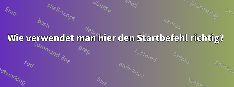 Wie verwendet man hier den Startbefehl richtig?