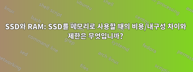 SSD와 RAM: SSD를 메모리로 사용할 때의 비용/내구성 차이와 제한은 무엇입니까?