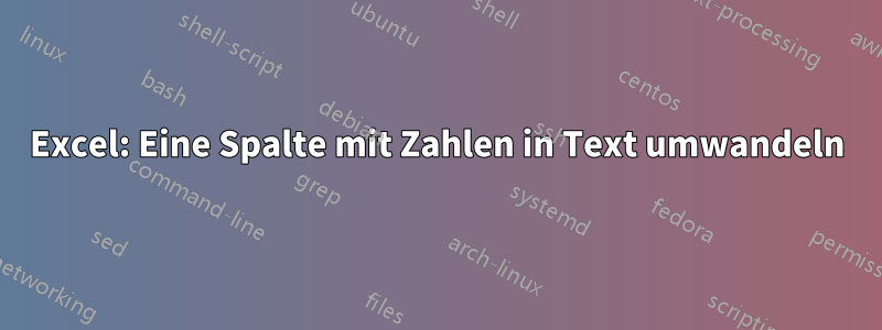 Excel: Eine Spalte mit Zahlen in Text umwandeln