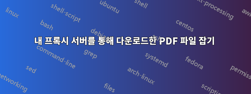 내 프록시 서버를 통해 다운로드한 PDF 파일 잡기