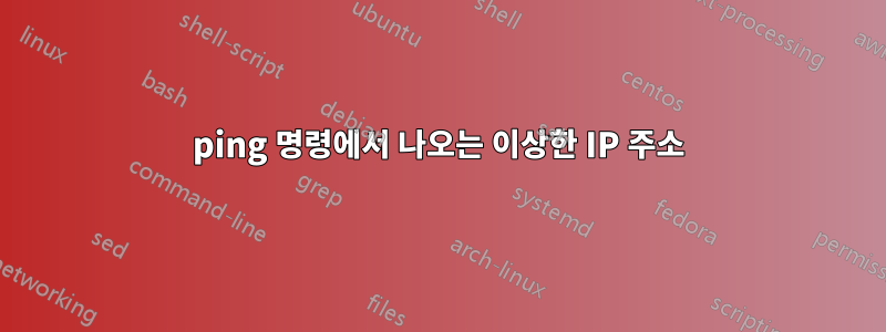 ping 명령에서 나오는 이상한 IP 주소
