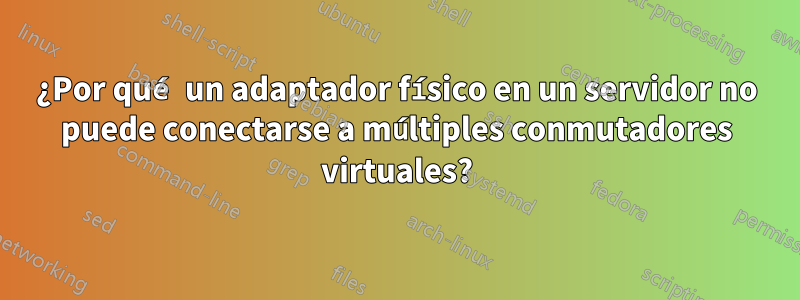 ¿Por qué un adaptador físico en un servidor no puede conectarse a múltiples conmutadores virtuales?