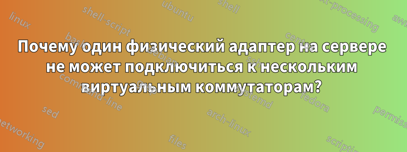Почему один физический адаптер на сервере не может подключиться к нескольким виртуальным коммутаторам?