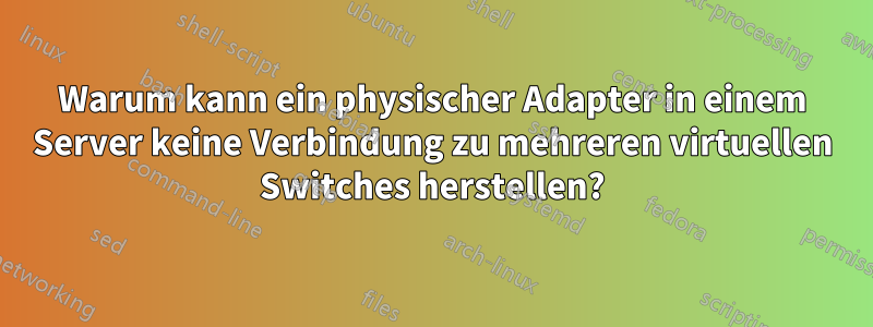 Warum kann ein physischer Adapter in einem Server keine Verbindung zu mehreren virtuellen Switches herstellen?