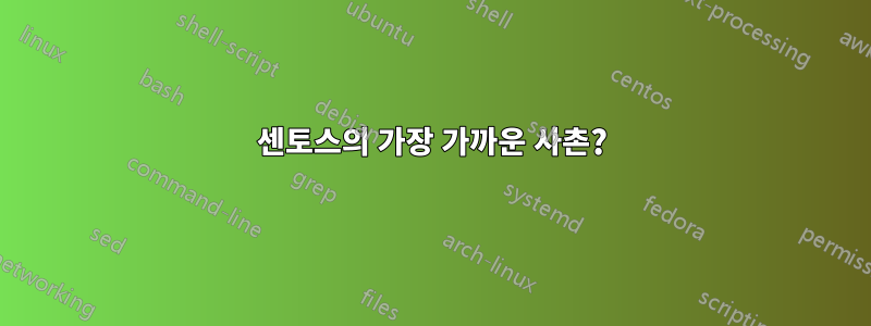 센토스의 가장 가까운 사촌?