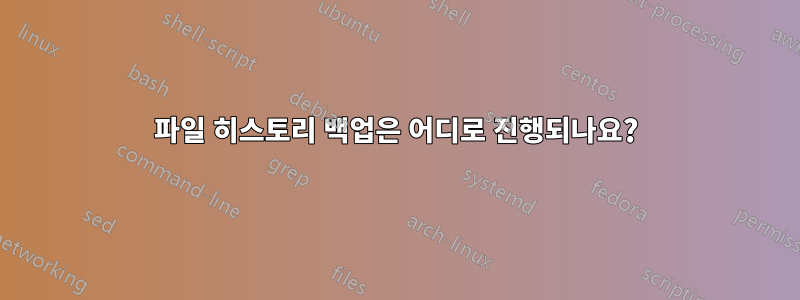 파일 히스토리 백업은 어디로 진행되나요?