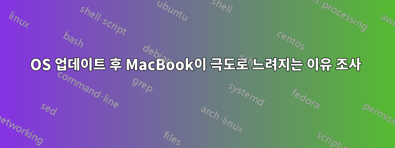 OS 업데이트 후 MacBook이 극도로 느려지는 이유 조사